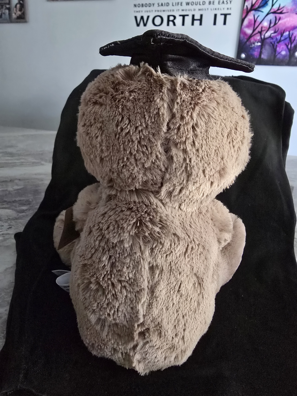 Graduate Sloth - Graduation Celebration! - Picture 3 of 4
